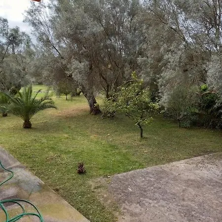 Ferienhaus Olive Garden